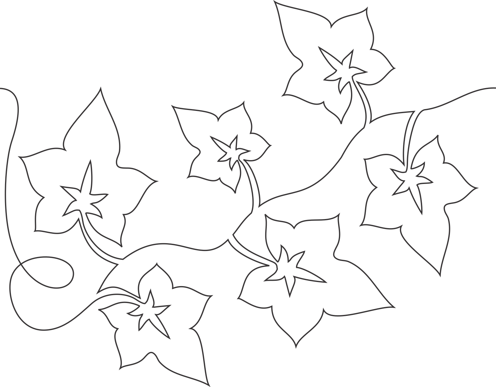 Ivy Vine longarm quilting stitch pattern, item LV-006